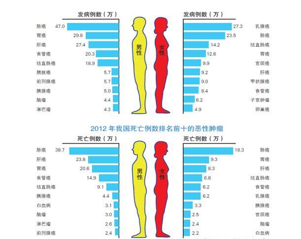 editor_1497319341376892.jpg 2.jpg