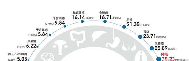 editor_1497319402112078.jpg 5.jpg