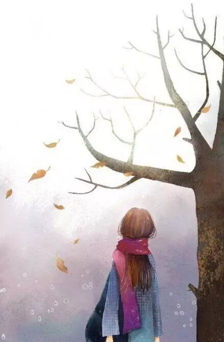 editor_1498869424446555.png 1.png