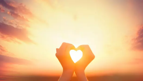 editor_1498876957519489.png 1.png