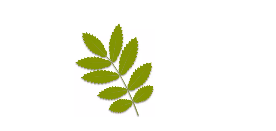 editor_1498877068291358.png 3.png