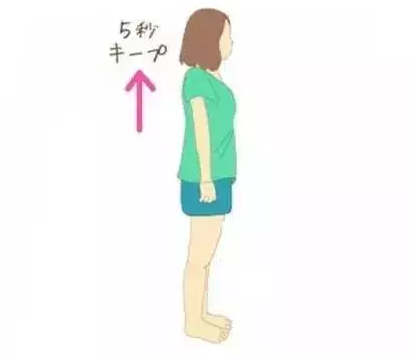 editor_1499478323887580.png 17.png