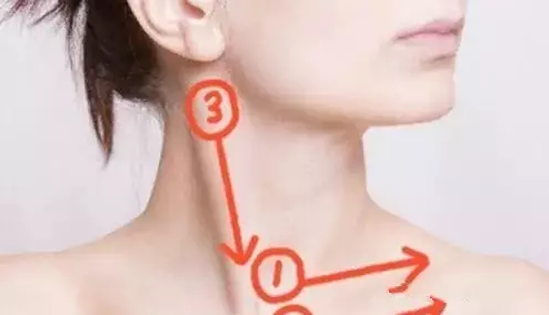 editor_1499478338950783.png 18.png