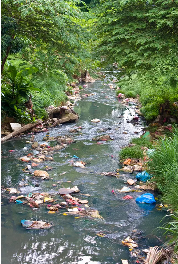 editor_1500166703739764.png 1.png