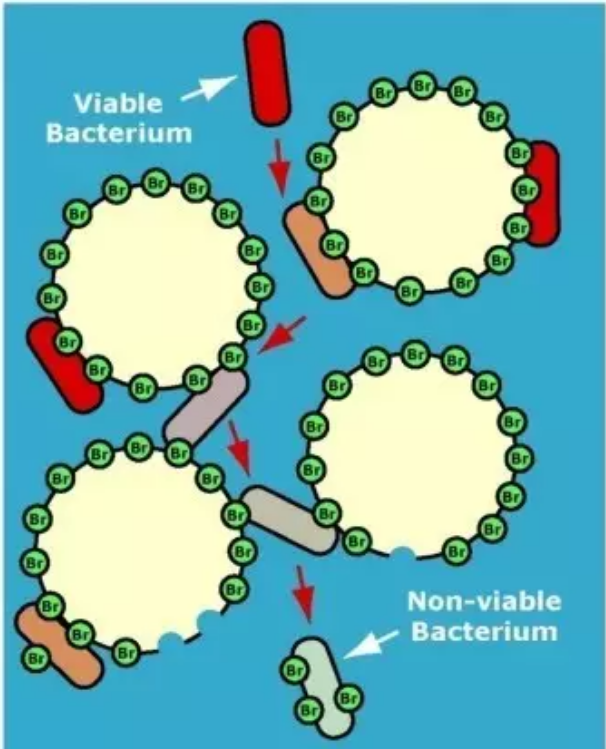 editor_1500599585671069.png 6.png