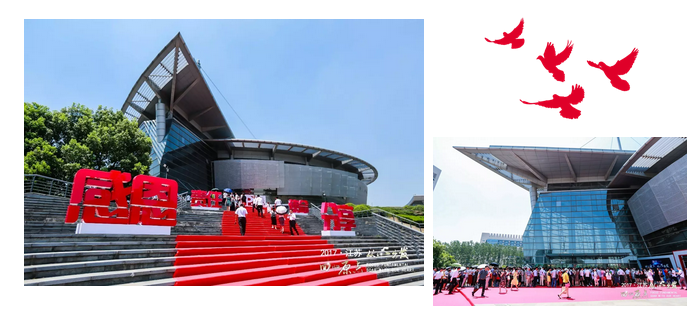 editor_1500945694859571.png 2.png