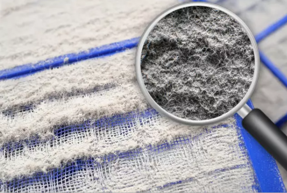 editor_1501031770275318.png 7.png