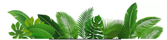 editor_1501032003873521.png 10.png