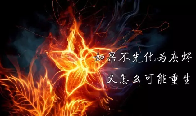 editor_1501567002526519.png 4.png