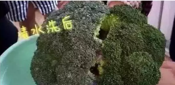 editor_1502244071918006.png