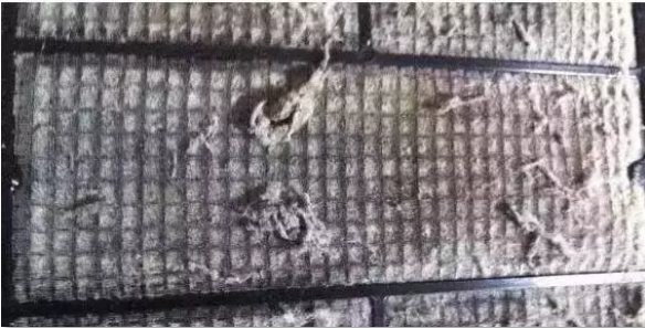 editor_1503654947254006.png 3.png