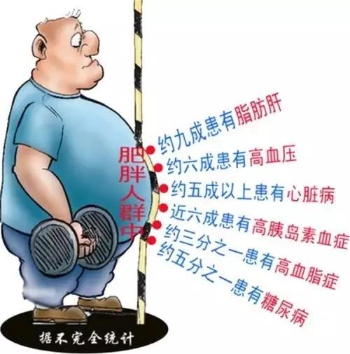 editor_1503796210997832.jpg 0.jpg