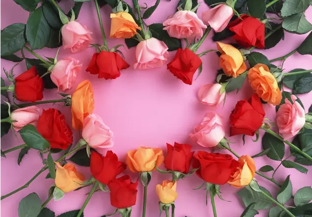 editor_1503913254482151.png 5.png