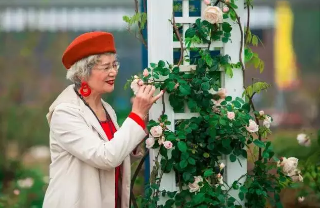 editor_1504485921878735.png 9.png