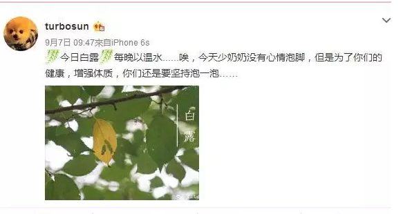 editor_1505355773658188.png 12.png