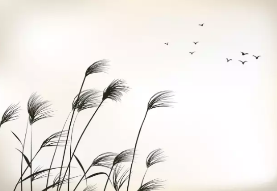 editor_1505971840827336.png 1.png