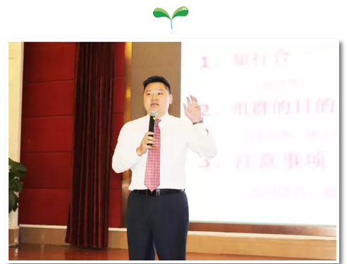 editor_1506047279624809.png 6.png