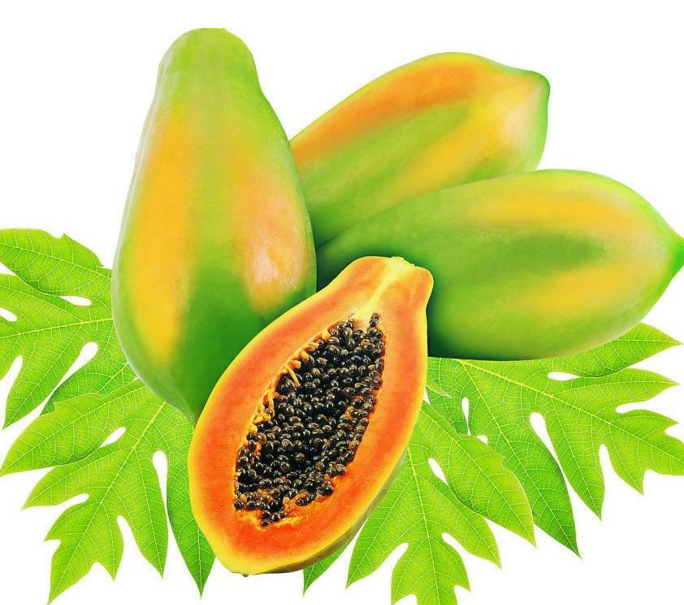 editor_1507444089546095.png 19.png