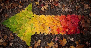 editor_1507596427356375.png 7.png