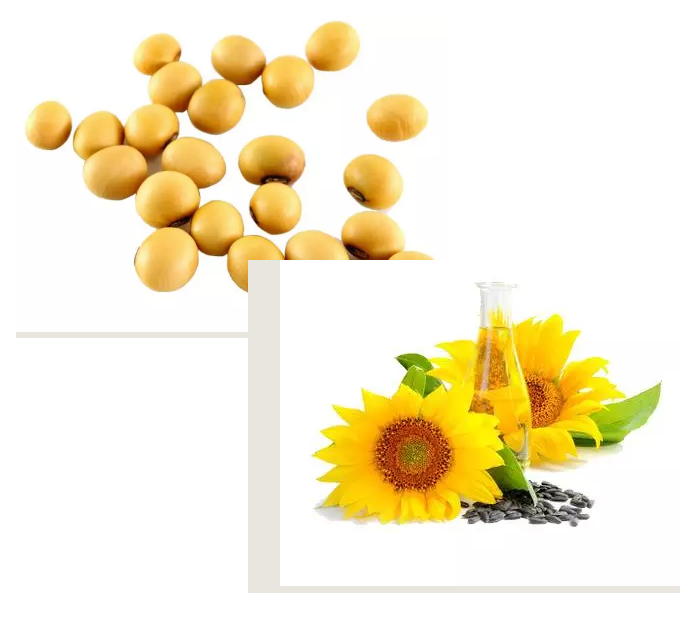 editor_1507774950702503.png 8.png