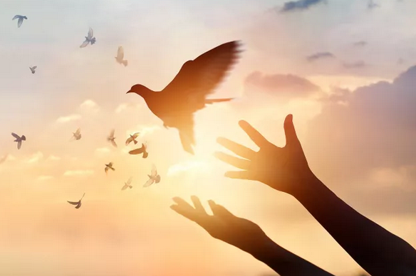 editor_1507968344893554.png 4.png