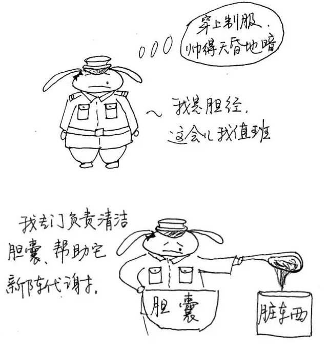 editor_1508895016838087.png 1.png