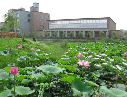 editor_1509344327832394.png 7.png