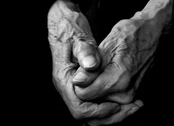 editor_1510199874323491.png 8.png