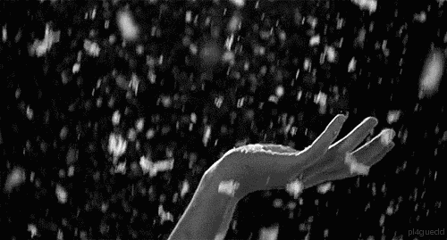 editor_1512106225914707.gif 1.gif