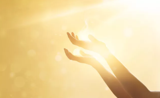 editor_1512106236653116.png 3.png