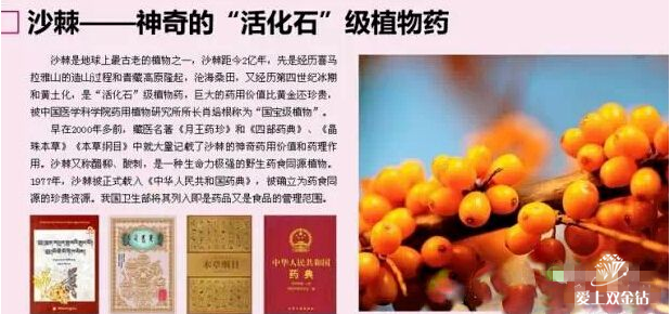 editor_1512783156143908.png 1.png