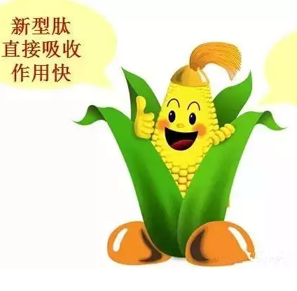 editor_1513392945734666.png 2.png