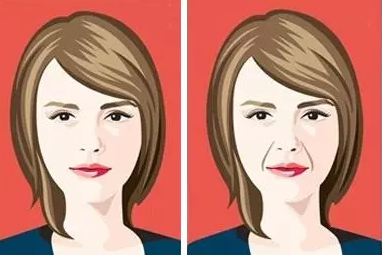 editor_1513417891308210.png 5.png