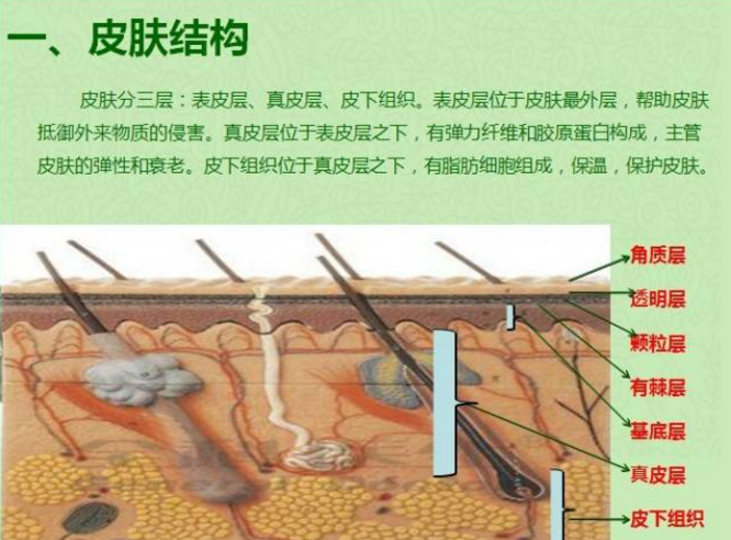 editor_1513564205954050.png 2.png