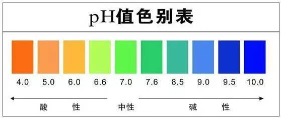 editor_1513564819300705.png 23.png