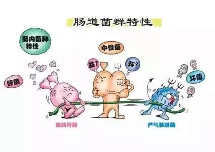 editor_1514336825156975.jpg 1.jpg