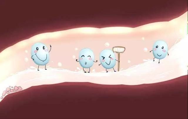 editor_1514336860753246.jpg 3.jpg