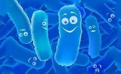 editor_1514509637152922.png 2.png