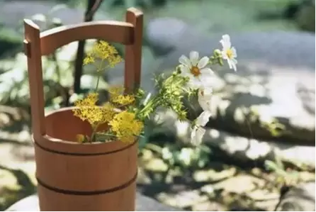 editor_1515982152522966.png 2.png