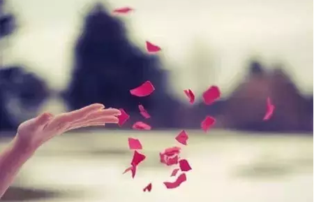 editor_1515982163944583.png 5.png