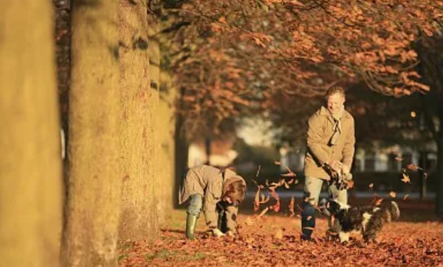 editor_1517880824852388.png 4.png