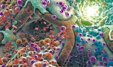 editor_1518067850159646.png 5.png