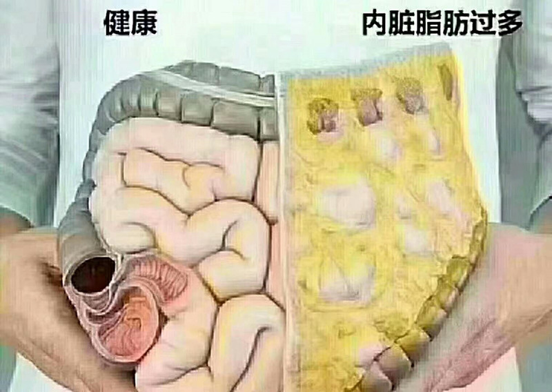 editor_1520648592692710.jpg 2.jpg