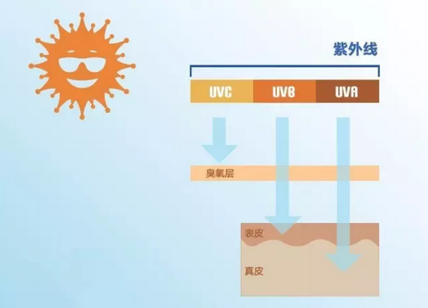 editor_1520818527870992.png 2.png