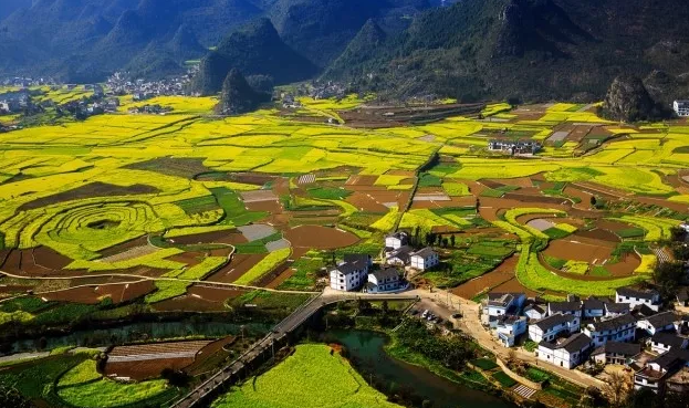 editor_1522393725282935.png 1.png