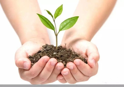 editor_1522722933453864.jpg 4.jpg