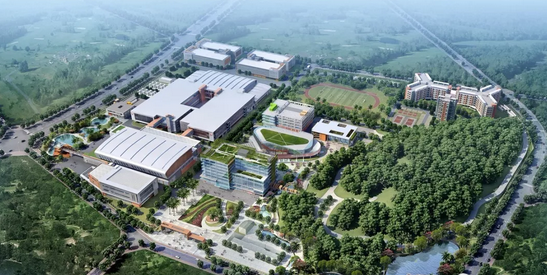 editor_1524040629106188.png 5.png