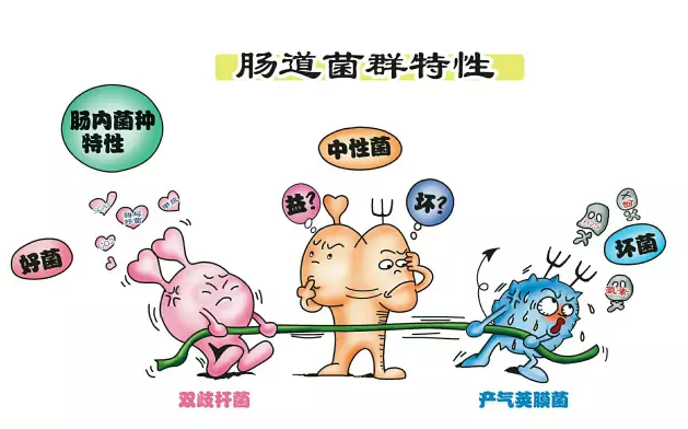 editor_1525401263697650.png 2.png