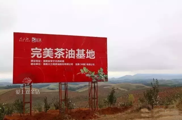 editor_1526346939873090.png 3.png