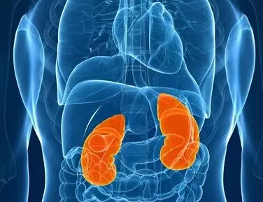 editor_1527300451184315.png 1.png